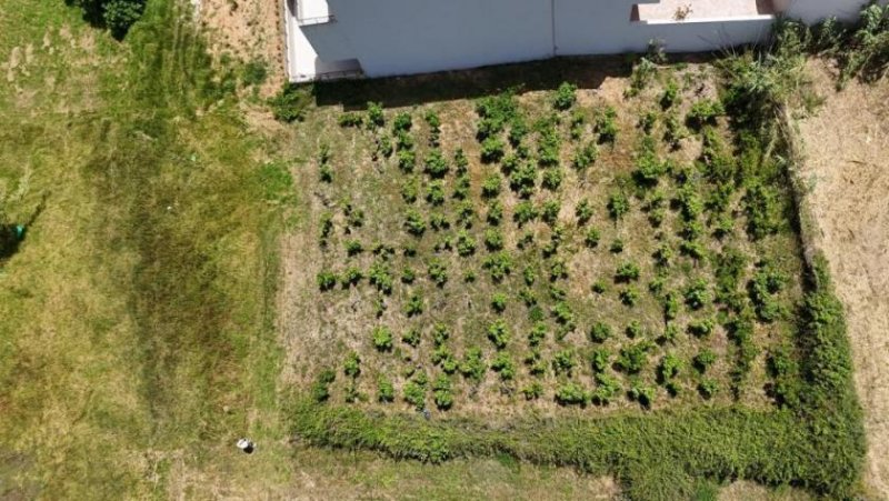 Maleme Kreta - Grundstück mit Baugenehmigung für 2 Residenzen in zweiter Linie vom Strand von Maleme zu verkaufen Grundstück kaufen